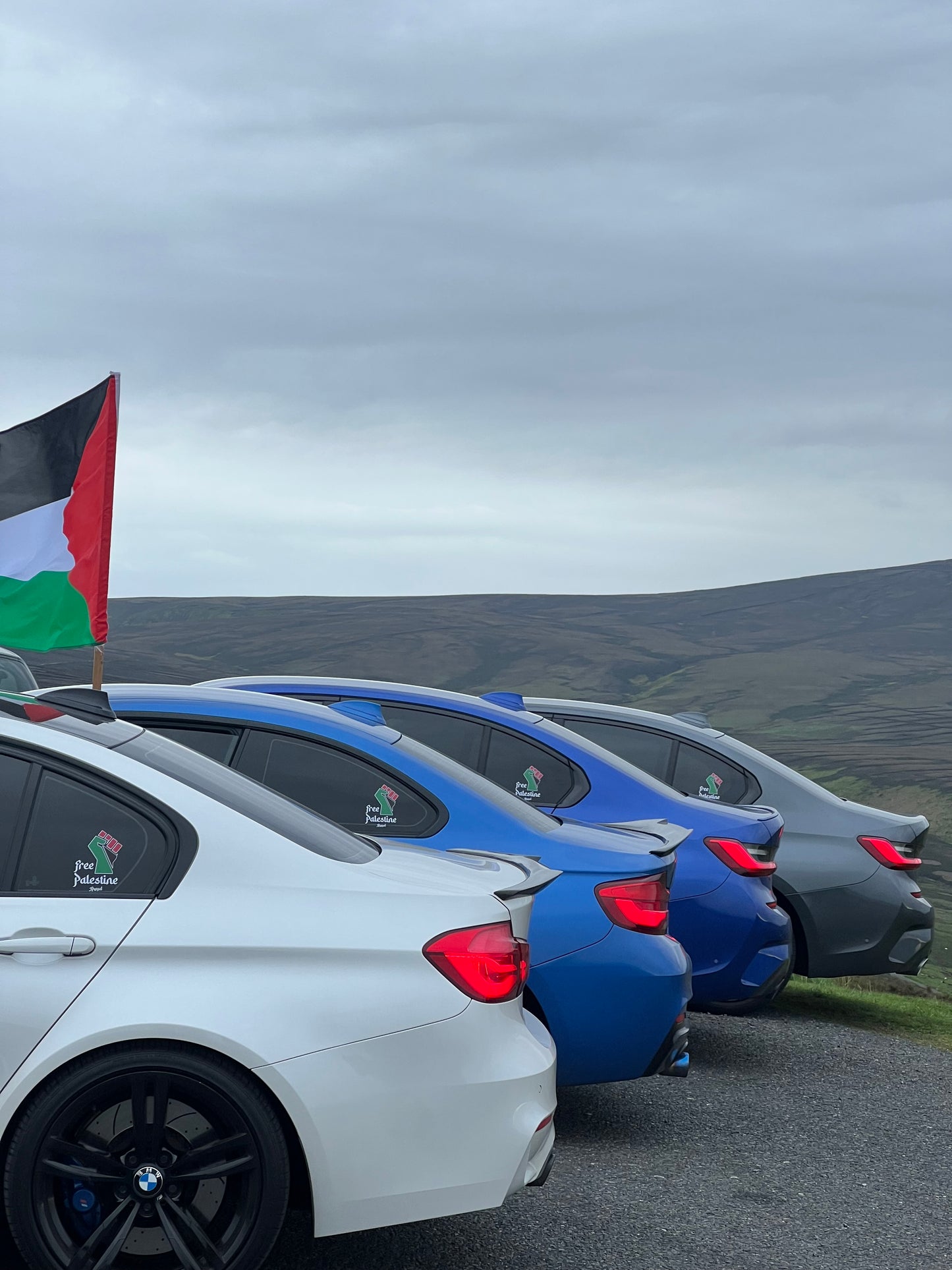 "FREE PALESTINE" FIST DECAL