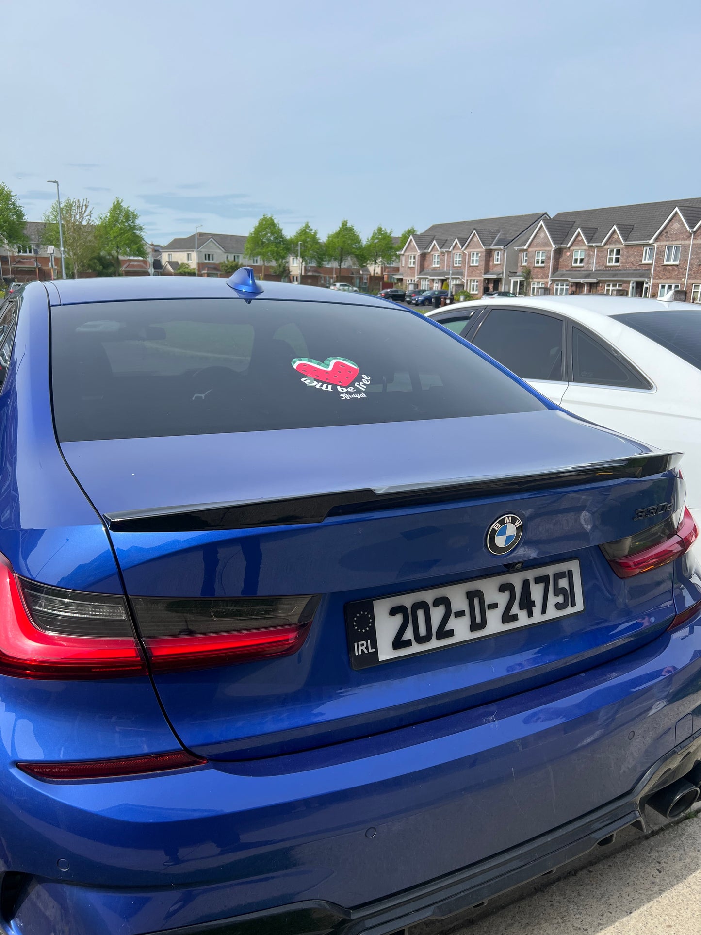 "WILL BE FREE" WATERMELON DECAL